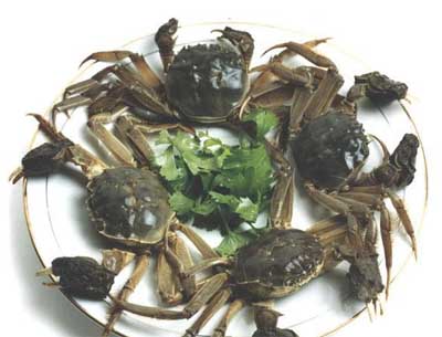 舌尖上的巢湖盘点巢湖特色美食去玩一定得尝尝